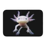 Individualus &scaron;ypsantis leukistinis aksolotlis durų kilimėlis Neslystantis įėjimo, vonios, virtuvės durų grindų kilimėliai Salamandros gyvūnas Svetainės kilimas 160x200cm63x78in