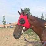 Madingi žirgų diržai Prekės Žirgo užvalkalas nuo vėjo akių kaukė Speed ​​Race apsauginiai akiniai Arklio galvos apdangalas Žirgų priedai Red raudona