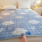 Naujas Milk Velvet dygsniuotas čiužinys Mink&scaron;ta pagalvėlė Buitinė lova čiužinys Apsauginis padėklas Hotel Tatami lovos pagalvėlė 100*200cm