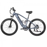 Ebike SYR03 Visureigis elektrinis kalnų dviratis 1000W 48V 20AH Ličio baterijomis maitinamas dviratis mink&scaron;ta uodega, amortizacinė visureigė pilka