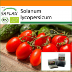 SAFLAX - Sodas mai&scaron;e - Ekologi&scaron;ki - Pomidorai - Roma - 15 sėklų - Su substratu tinkamame stovimame mai&scaron;elyje - Solanum lycopersicum