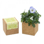 Grow Cube aimant&eacute; Pens&eacute;e