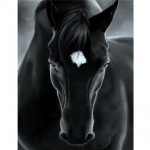 5D &bdquo;pasidaryk pats&ldquo; deimantinis paveikslas &bdquo;Black Horse&ldquo; deimantinis siuvinėjimas kryželiu namų dekoras, rankų darbo dovanos Square 60x80cm