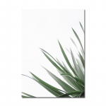 Žalias Augalo Lapas Gėlės Plakatas Spaudinys Akvarelė Monstera Sienų Menas Drobės Tapyba Citatos Sienų Paveikslai Svetainės Dekorui A4 21x30cm No Frame