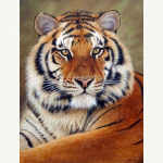 Deimantinis siuvinėjimas 5D Deimantinis paveikslas Tigras Deimantinis mozaikos gyvūnai Siuvinėjimo kryželiu dekoras 20X30CM