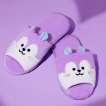 BT21 Inside Mang