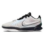 Nike LeBron 21 Conchiolin vyri&scaron;ki sportbačiai balti juodi Bicoastal HF5841-100 44.5