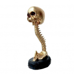 Kaukolės sodintuvas su stuburu sidabras