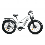 2026 naujas modelis Naujo galingo 3000W elektrinio dviračio ebike pristatymas, kurio didžiausias greitis 60km/h-65km, ES7pro riebios padangos dvigubos variklio elektrinis dviratis 1500W 52V 19AH