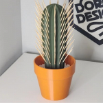3D spausdintas kaktuso dantų krap&scaron;tukų dozatorius, namų augalas, 3D spausdintas kaktuso dantų krap&scaron;tukų laikiklis, žmonėms, kurie negali i&scaron;laikyti augalų gyvų, dekoras