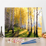 Menas &bdquo;Pasidaryk pats&ldquo; Tapyba pagal skaičius Deimantinė tapyba Pomėgiai Aliejinė tapyba Namų dekoras Skaitmeninis aliejinis paveikslas Tapyba skaičiais 40x50cm no frame