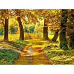 &bdquo;Pasidaryk pats&ldquo; 5D deimantų tapybos peizažas rudens medis deimantų siuvinėjimas kra&scaron;tovaizdis Kalnų kri&scaron;tolas Full Round 20x30CM