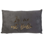 Les Tr&eacute;sors De Lily [A0879] - Coussin su&eacute;dine 'Scarlett' gris (la vie est belle) - 50x30 cm pilka