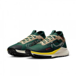 Nike React Pegasus Trail 4 GORE-TEX Noble Green Sail FD0317-333 EU 40 žalia