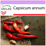 SAFLAX &ndash; Čili &ndash; De Cayenne &ndash; 20 sėklų &ndash; Capsicum annum