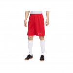 Nike Dri-Fit Patogūs Paprasti Madingi Universalūs Vidutinio Juosmens Sportiniai &Scaron;ortai Vyri&scaron;ki &Scaron;ortai Universitetinė Raudona IB8654-657 M