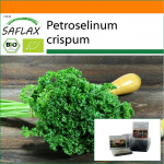 SAFLAX - Sodas mai&scaron;e - Ekologi&scaron;kas - Samanų garbanotos petražolės - 800 sėklų - Su substratu tinkamame stovimame mai&scaron;elyje - Petroselinum crispum