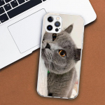 Britų trumpaplaukės katės telefono dėklas, skirtas Apple iPhone 11 12 13 15 14 Pro 7 XR X XS Max 8 Plus + Mini SE individualizuoto spausdinimo mink&scaron;tas vir&scaron;elis iPhone 15
