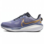 Nike Vomero 17 Diffused Blue Gold Moteri&scaron;ki sportbačiai Ashen-Slate White Metallic-Gold FB8502-400 40