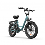 URLIFE-E20 20 x3 Elektrinis dviratis su plačiomis padangomis - 250W variklis, 48V 13AH baterija, 80-100KM nuotolis žalia