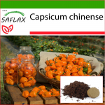SAFLAX &ndash; Čili &ndash; Geltonasis Habanero &ndash; 10 sėklų &ndash; Su vazoniniu substratu geresniam auginimui &ndash; Capsicum chinense