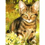 Deimantinė tapyba Katė 5D Pasidaryk pats Deimantinė siuvinėjimas Gyvūnas Mozaika Nuotrauka I&scaron; cirkonio Namų dekoracija 20X30CM