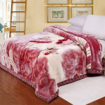 &bdquo;Four Seasons&ldquo; &scaron;ilta ir patogi antklodė antklodė, pastorinta dviguba koralų vilnos antklodė Vieno studento bendrabučio žiemos dengiamoji antklodė 150*200cm