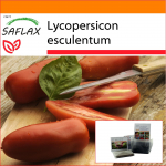 SAFLAX - Sodas mai&scaron;elyje - Pomidoras - San Marzano - 10 sėklų - Su substratu tinkamame stovimame mai&scaron;elyje - Lycopersicon esculentum