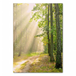 Pavasario Gėlės Tulpės Citrina Gamta Plakatai Spaudiniai Džiunglės Elnias Dviratis Sienų Menas Paveikslai Drobė Tapyba Skandinavi&scaron;kas Namų Kambario Dekoras 21X30cm No Frame