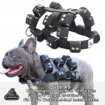 &Scaron;uns petne&scaron;os su ki&scaron;enėlėmis, tarnybinio &scaron;uns svorinė liemenė, įranga dideliems, vidutinio dydžio, mažiems &scaron;unims / Traukimui / Pasivaik&scaron;čiojimui / Treniruotėms / Laisviems svoriams