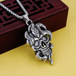 Vėrinys Punk Gyvatė Aplink Kaukolę Vyrams Hip Hop Ilgas Pakabukas 50CM(Necklace Size) sidabras
