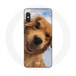 Coque pour Xiaomi Redmi Note 5 AI Dual Camera Golden retriever Race de chiens