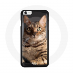 Coque Iphone 7 Bengal Chat