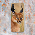 Mielas &bdquo;Canada Lynx&ldquo; silikoninis dangtelis &bdquo;Honor 20 20S 20E 8 8A Prime 8X MAX 8C 8S 7A 7C 7S Pro&ldquo; telefono dėklas Honor 7S