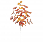 Rudens eukalipto &scaron;akos: Padėkos dienos ir derliaus &scaron;ventės dekoracija 60 cm Long oranžinė/raudona