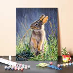 Skaitmeninė aliejinė tapyba &bdquo;Pasidaryk pats&ldquo; Tapyba pagal skaičius Skaičiai Tapyba aliejiniais dažais Drobė Namų dekoravimas 40x50cm no frame