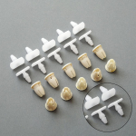 Auk&scaron;tos kokybės apdailos spaustukai, plastikiniai stūmikliai, pakeičia tvirtinimo mygtuką