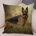 Vokiečių aviganio pagalvės užvalkalas Super Mink&scaron;tas trumpas pliu&scaron;inis pagalvėlės užvalkalas sofai Namų pagalvės užvalkalas Decor Pet Animal 45*45cm užvalkalai 45*45cm