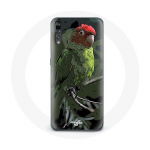 Coque pour Huawei P20 Pionus Perroquet Rouge Vert