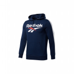 Reebok Classics Vector P Oth Color Block Logo Print Džemperis su gobtuvu vyrams tamsiai mėlynas FL5475 M