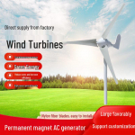 Lingfengda S tipo 100W 12/24V mikro vėjo turbina ap&scaron;vietimo projektams