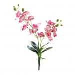 Gėlių plastikas, imituotas, nelaistomas, spalvotas orchidėjų dirbtinis augalų dekoras namų apyvokos reikmenys balta
