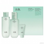 Hanyul grynosios pelyno raminamasis rinkinys (Tonikas 150ml + Skystis 125ml) (+Nemokama dovana)