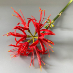 Graži Higano gėlių &scaron;akelė &Scaron;ilko gėlės Dirbtinės vestuvių namų dekoras Flores Artificiales fotografija raudona