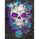 5D &bdquo;pasidaryk pats&ldquo; deimantų tapyba, drugeliai ir skeletai, suaugusiems ir vaikams, siuvinėjimo rinkiniai, pilni kri&scaron;toliniai deimantiniai paveikslai Round drill 30x40cm