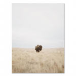 Buffalo Wall Art Bison plakatas ir spaudinys Highland Cattle Painting Americana Southwestern Farm sienos paveikslas svetainės dekoravimui 21x30cm No Frame