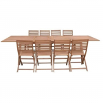 Ensemble repas de jardin 8 &agrave; 12 personnes - Table extensible 200/250/300 x 100cm + 8 chaises - Bois Eucalyptus FSC žalia/natūrali