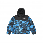 THE NORTH FACE 1996 pūkinė striukė žieminė unisex mėlyna NF0A3C8D-TPZ S black