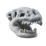 Dinozauro skeletas kostiumas Realisti&scaron;kas dinozauro kaukolės galvos apdangalas 3D pliu&scaron;inis stuburas Cosplay rekvizitai Helovino persirengimo aksesuaras pilka