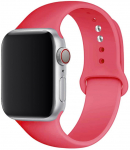 Silikoninis dirželis Apple Watch Band SE-10 42/46mm 44/45mm 38/40/41mm apyrankė iwatch Serie 9 8 7 6 5 4 3 ultra 2 49mm 42 44 45 49mm M-L